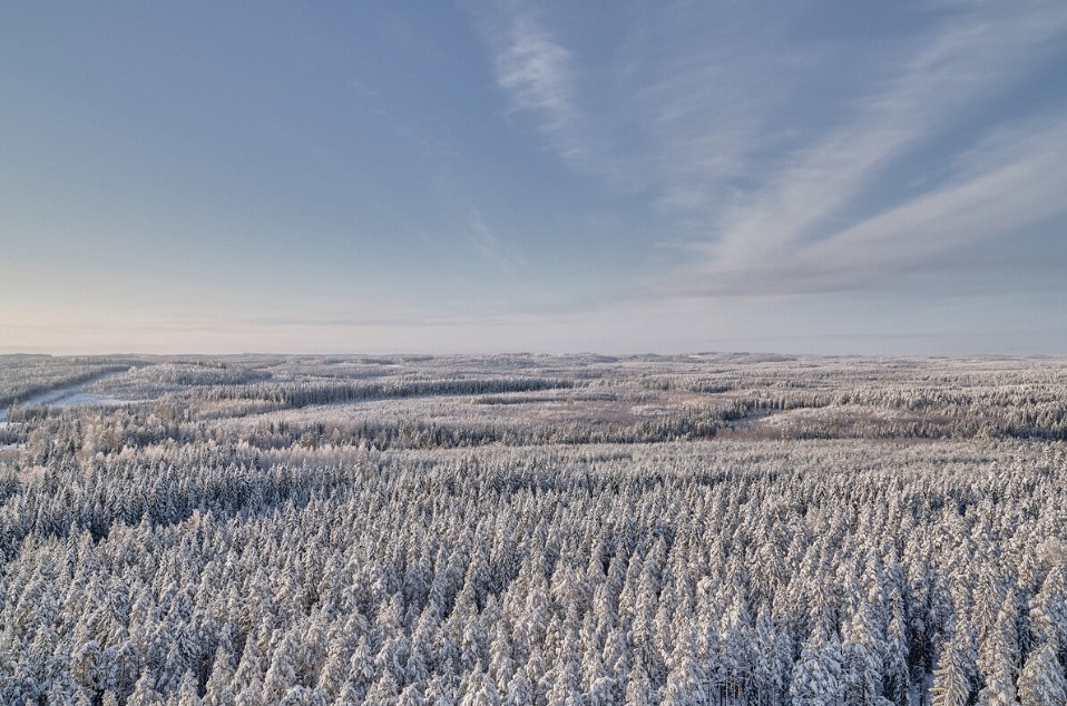 Metsä Board Achieves Triple CDP 'A' Score for Climate Transparency